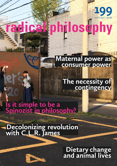 Radical Philosophy 199 jacket