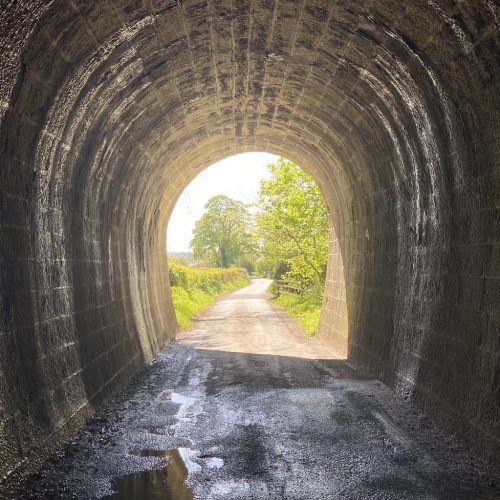 Photograph from inside a damp pedestrian tunnel, with green trees and bright light at the end